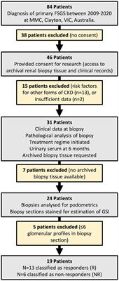 Podocyte number and glomerulosclerosis indices are associated with the response to therapy for primary focal segmental glomerulosclerosis